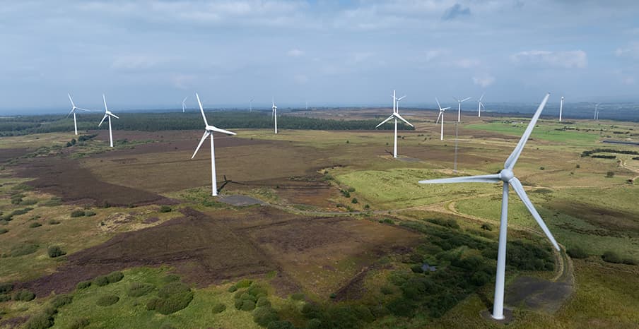 wind turbines in a large field